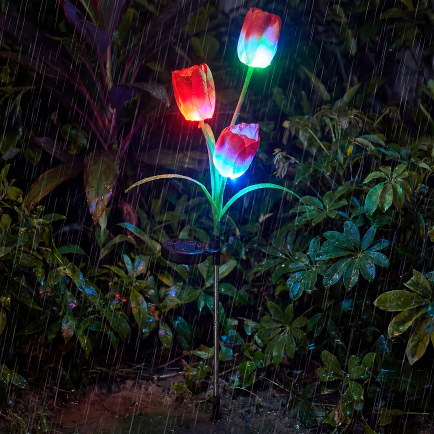 LED RGB соларна декоративна лампа 3xLED/3,7V 200 mAh IP44 тюлпан
