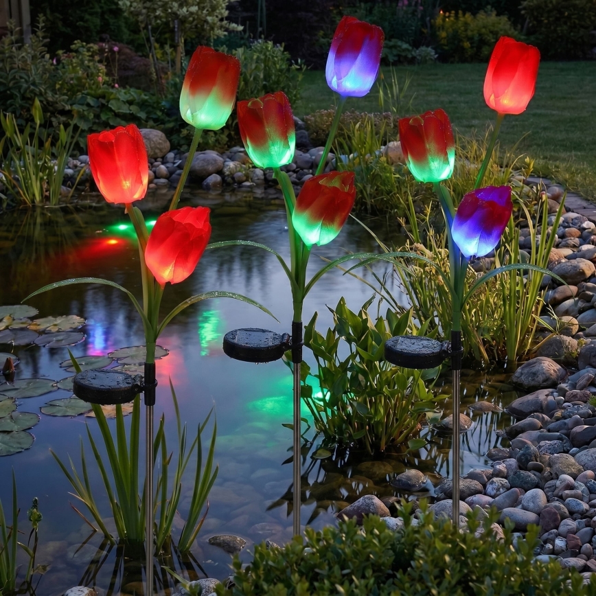 LED RGB соларна декоративна лампа 3xLED/3,7V 200 mAh IP44 тюлпан