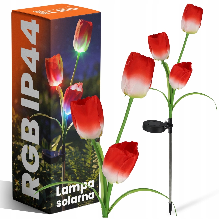 LED RGB соларна декоративна лампа 3xLED/3,7V 200 mAh IP44 тюлпан