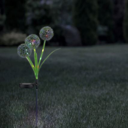 LED RGB Соларна лампа ALLIUM LED/1,2V 6500 600 mAh IP44 черен