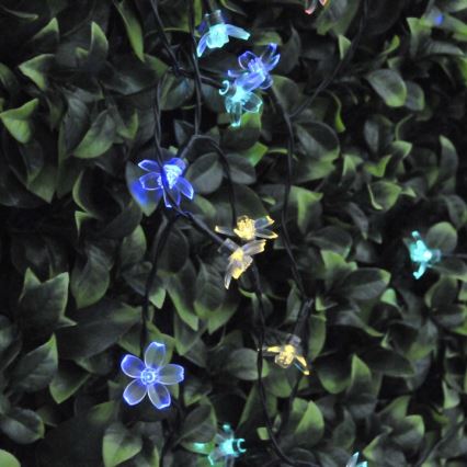 LED RGB Соларни лампички FLOWER 50xLED/1,2V IP44
