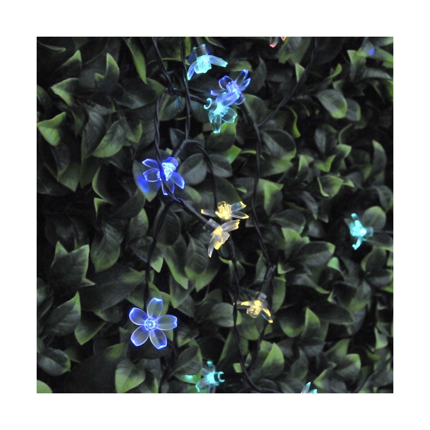 LED RGB Соларни лампички FLOWER 50xLED/1,2V IP44