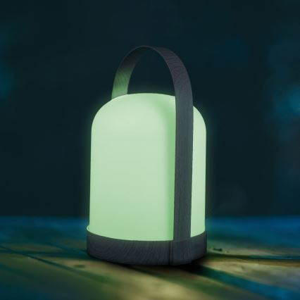 LED RGBW Декоративна настолна лампа MINORKA LED/0,3W/4,5V 3xAA