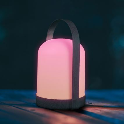 LED RGBW Декоративна настолна лампа MINORKA LED/0,3W/4,5V 3xAA