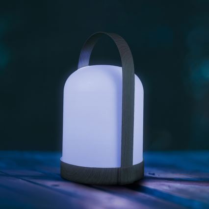 LED RGBW Декоративна настолна лампа MINORKA LED/0,3W/4,5V 3xAA