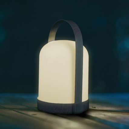 LED RGBW Декоративна настолна лампа MINORKA LED/0,3W/4,5V 3xAA