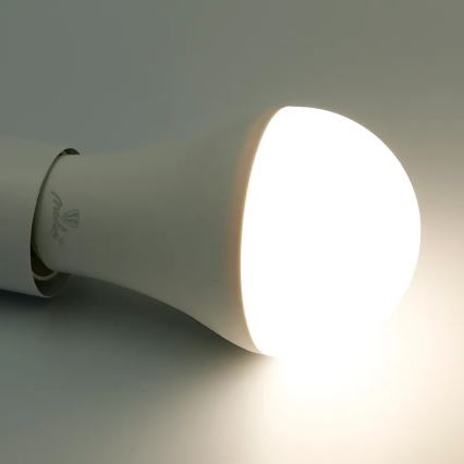 LED RGBW Димируема крушка A60 E27/15W/230V 2700-6500K Wi-Fi Tuya