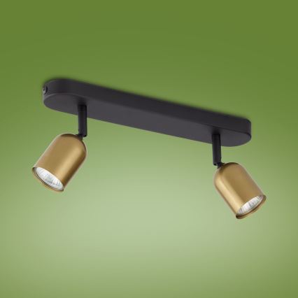 LED RGBW димируемо точково осветително тяло TOP 2xGU10/6,5W/230V 2700-6500K златисто/черно