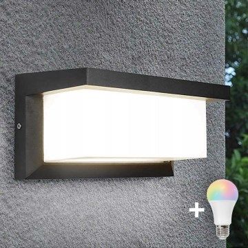 LED RGBW димируемо външно стенно осветително тяло NEELY 1xE27/9W/230V 2700-6500K IP54 Wi-Fi антрацит