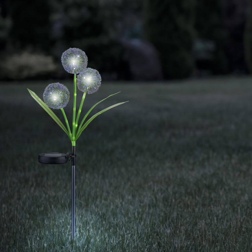 LED Соларна лампа ALLIUM LED/1,2V 6500K 600 mAh IP44 черен