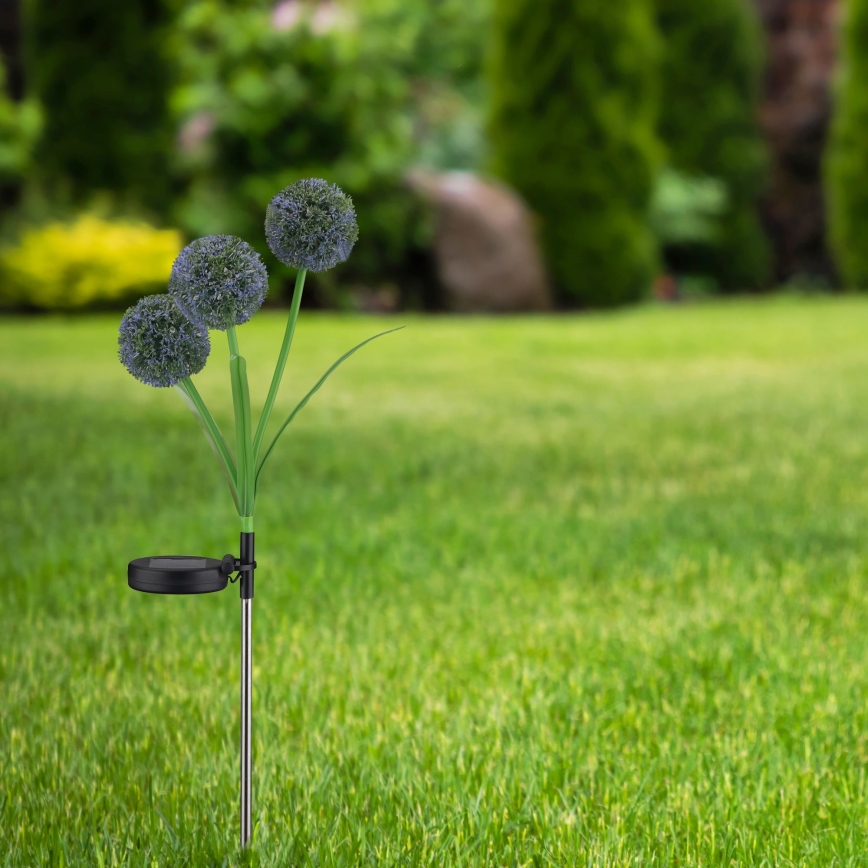 LED Соларна лампа ALLIUM LED/1,2V 6500K 600 mAh IP44 черен