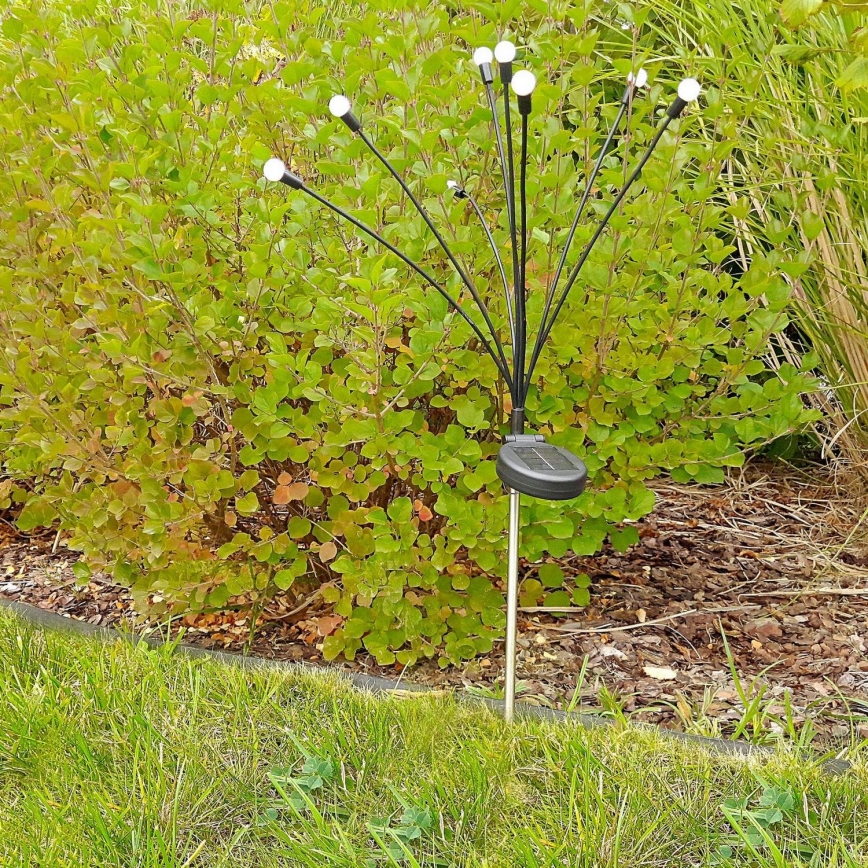 LED Соларна лампа FIORINI 8xLED/1,2V 600 mAh IP44 черна