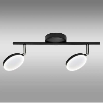 LED Спот CAPRI 2xLED/5W/230V
