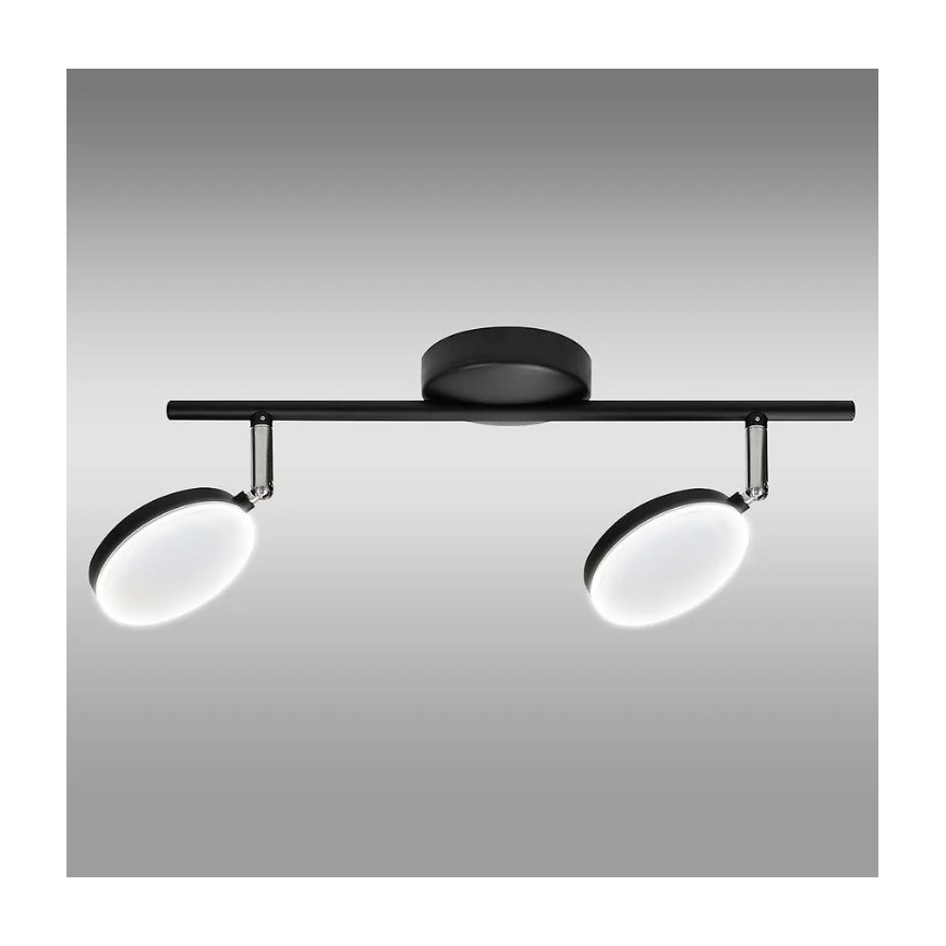 LED Спот CAPRI 2xLED/5W/230V