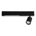 LED Спот MAGNET LED/5W/230V + 1xGU10/60W 3000/4000K черен