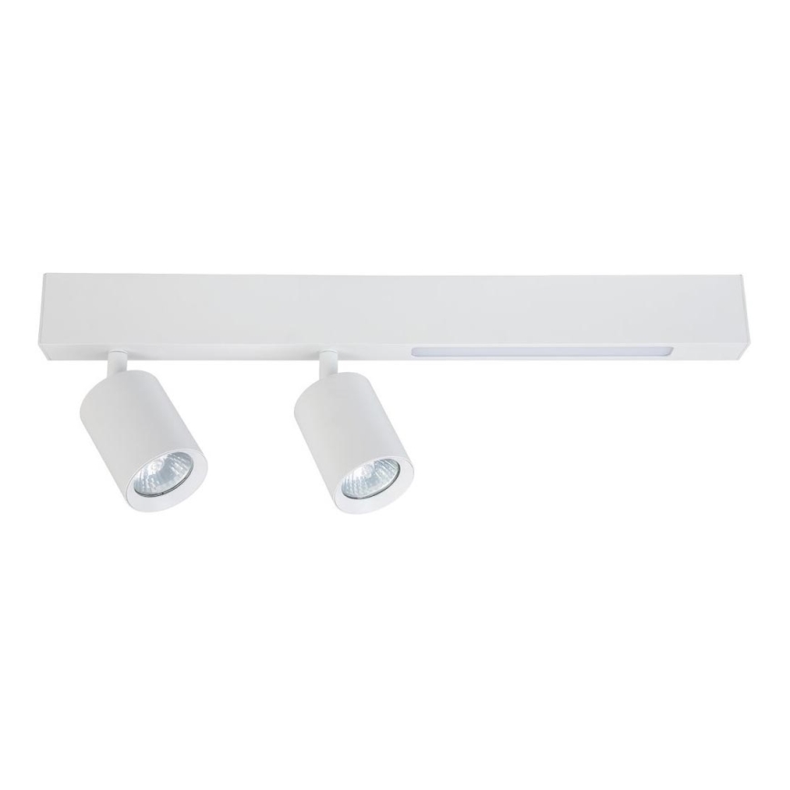 LED Спот MAGNET LED/5W/230V + 2xGU10/60W 3000/4000K бял