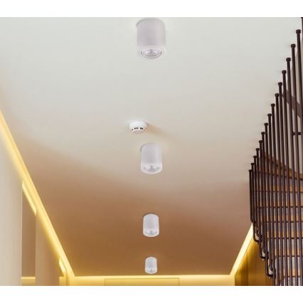 LED Спот TUBA 1xGU10/5W/230V 2700K бял