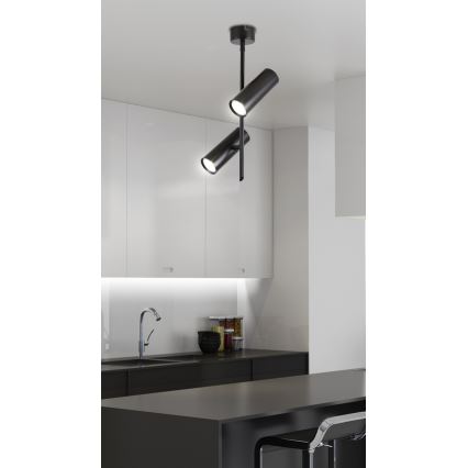 LED Спот TUBA 2xLED/10W/230V черен