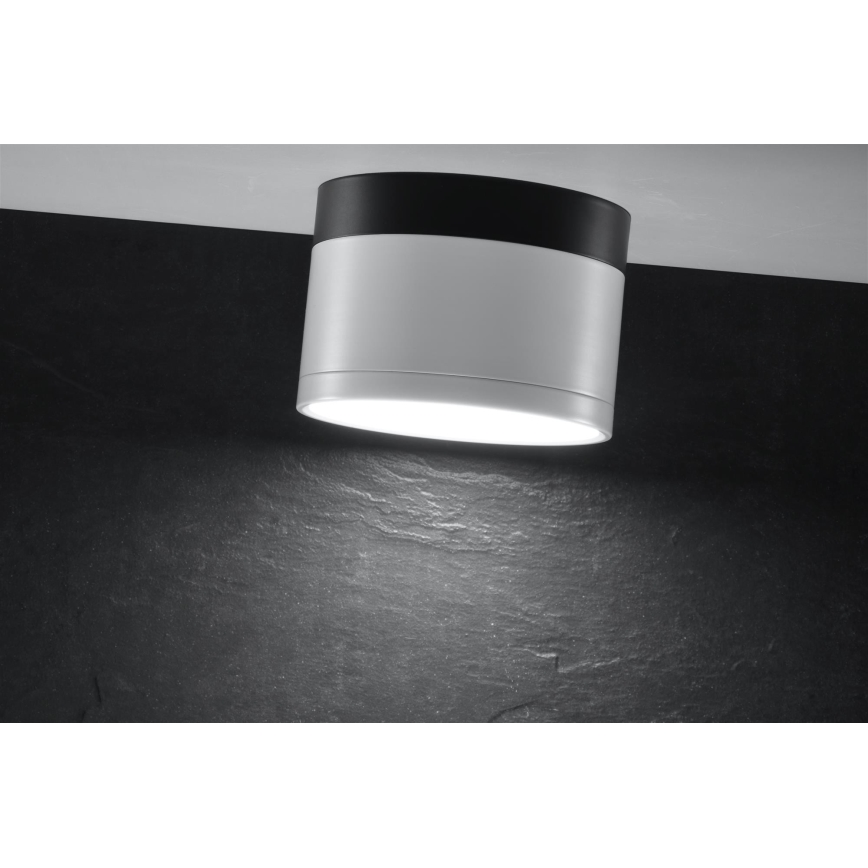 LED Спот TUBA LED/9W/230V бял/черен