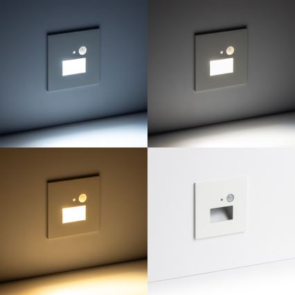 LED осветително тяло за стълбище със сензор за движение и сумрак LED/1,5W/230V 3000/4000/6000K бяло