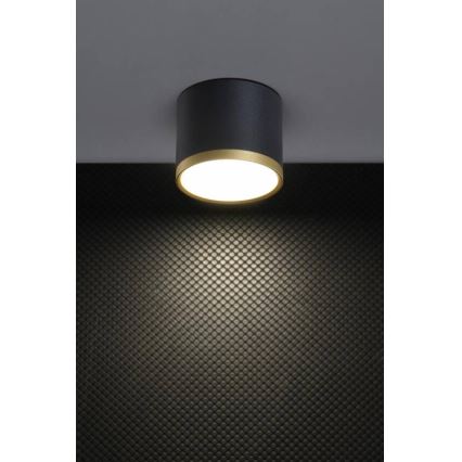 LED светещо тяло TUBA LED/9W/230V черно/златно