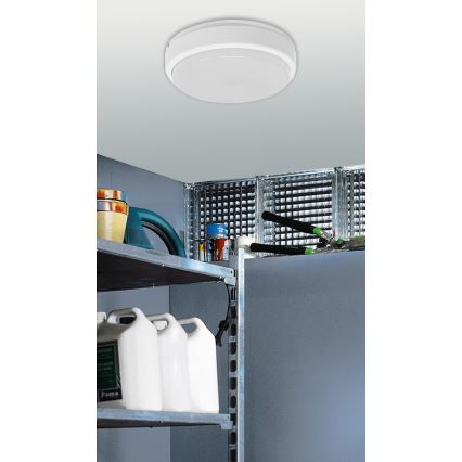 LED Таванна Промишлено осветление VARNA PLUS LED/15W/230V IP65
