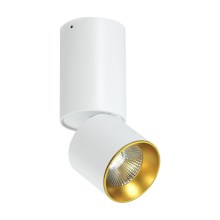 LED Таванна Точково осветително тяло LED/10W/230V