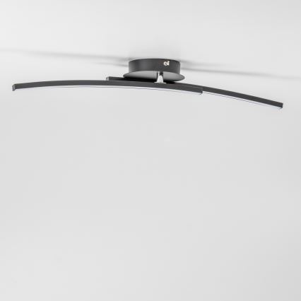 LED таванно осветително тяло 2xLED/6W/230V черно