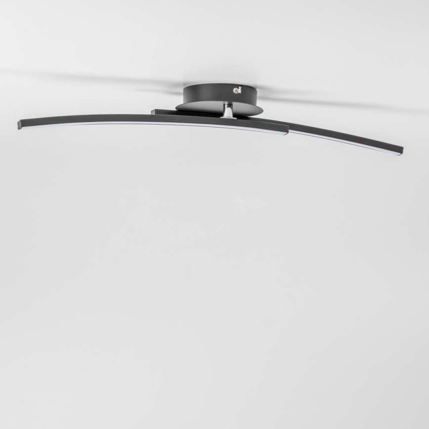 LED таванно осветително тяло 2xLED/6W/230V черно