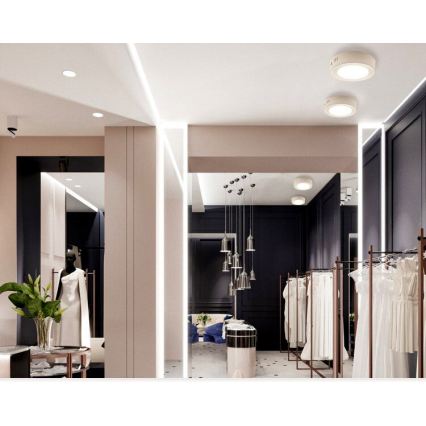 LED таванно осветително тяло DIEGO LED/12W/230V 4000K IP40 Ø 16,5 cm бяло