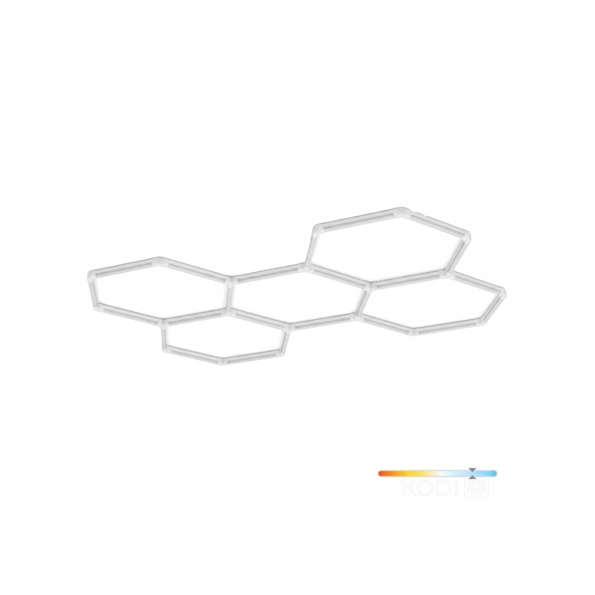LED таванно осветително тяло HEXLINE LED/216W/230V 6500K 208x300 cm бяло