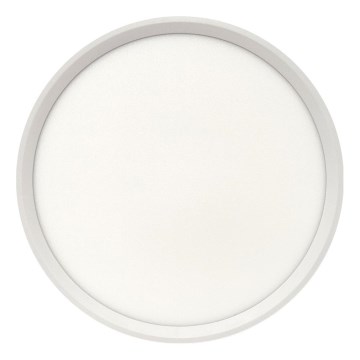 LED таванно осветително тяло LED/24W/230V 3000/4000/6500K Ø 30 см бяло