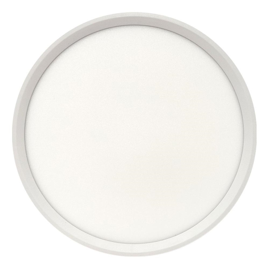 LED таванно осветително тяло LED/24W/230V 3000/4000/6500K Ø 30 см бяло