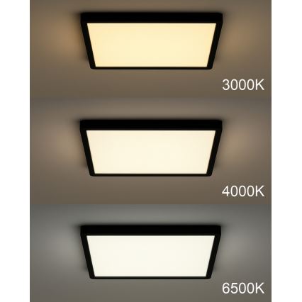 LED таванно осветително тяло LED/40W/230V 3000/4000/6500K 50x50 cm черно