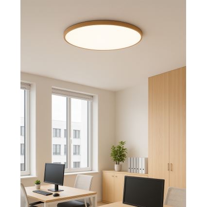 LED таванно осветително тяло LED/40W/230V 3000/4000/6500K Ø 50 cm бежово