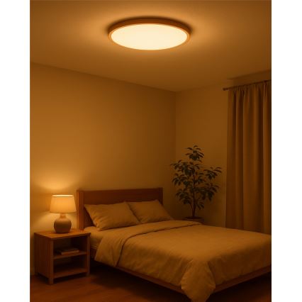 LED таванно осветително тяло LED/40W/230V 3000/4000/6500K Ø 50 cm бежово