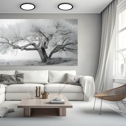 LED таванно осветително тяло MAQ LED/24W/230V 3000/4000/6500K IP40 черно