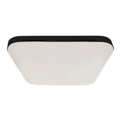 LED таванно осветително тяло NEMO LED/36W/230V 50x50 см черно