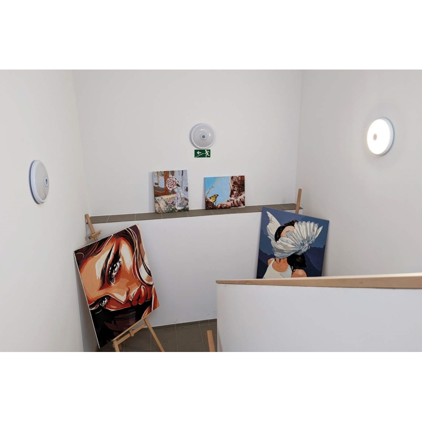 LED таванно осветително тяло със сензор за движение и за здрач LED/20W/230V Ø 29 см бяло