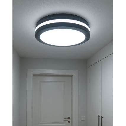 LED таванно осветително тяло със сензор за движение LED/20W/230V 3000/4000/6500K диаметър 230 cm IP54 антрацит