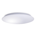 LED таванно осветително тяло за баня AVESTA LED/18W/230V 4000K IP54