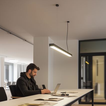 LED таванно/висящо осветително тяло CYNIDECO LED/12W/230V 4000K черно