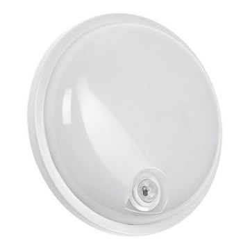 LED техническо осветително тяло с PIR сензор LED/20W/230V IP54