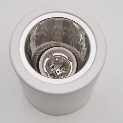 LED точково осветително тяло TACO 1xE27/15W/230V бяло