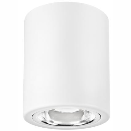 LED точково осветително тяло TACO 1xE27/15W/230V бяло