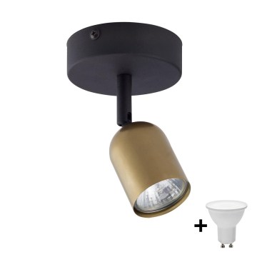 LED точково осветително тяло TOP 1xGU10/10W/230V златисто/черно