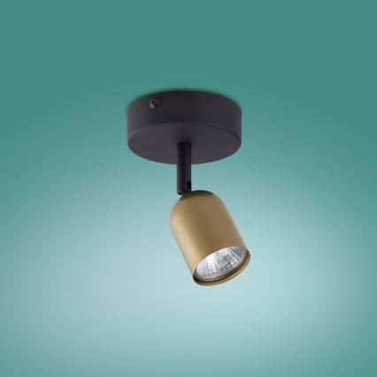 LED точково осветително тяло TOP 1xGU10/10W/230V златисто/черно