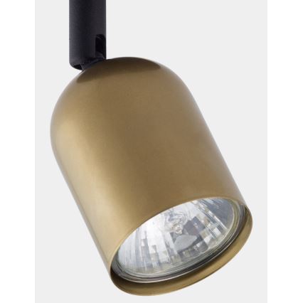 LED точково осветително тяло TOP 1xGU10/10W/230V златисто/черно