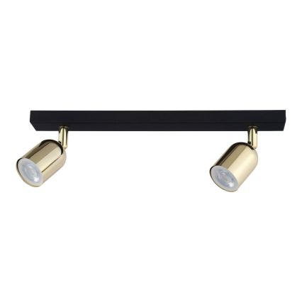 LED точково осветително тяло TOP 2xGU10/10W/230V черно/златно