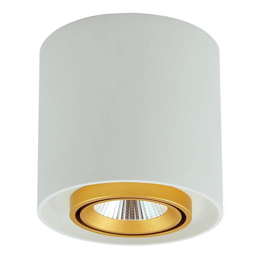 LED Точково осветление, луна XENO LED/15W/230V бяла 1200lm